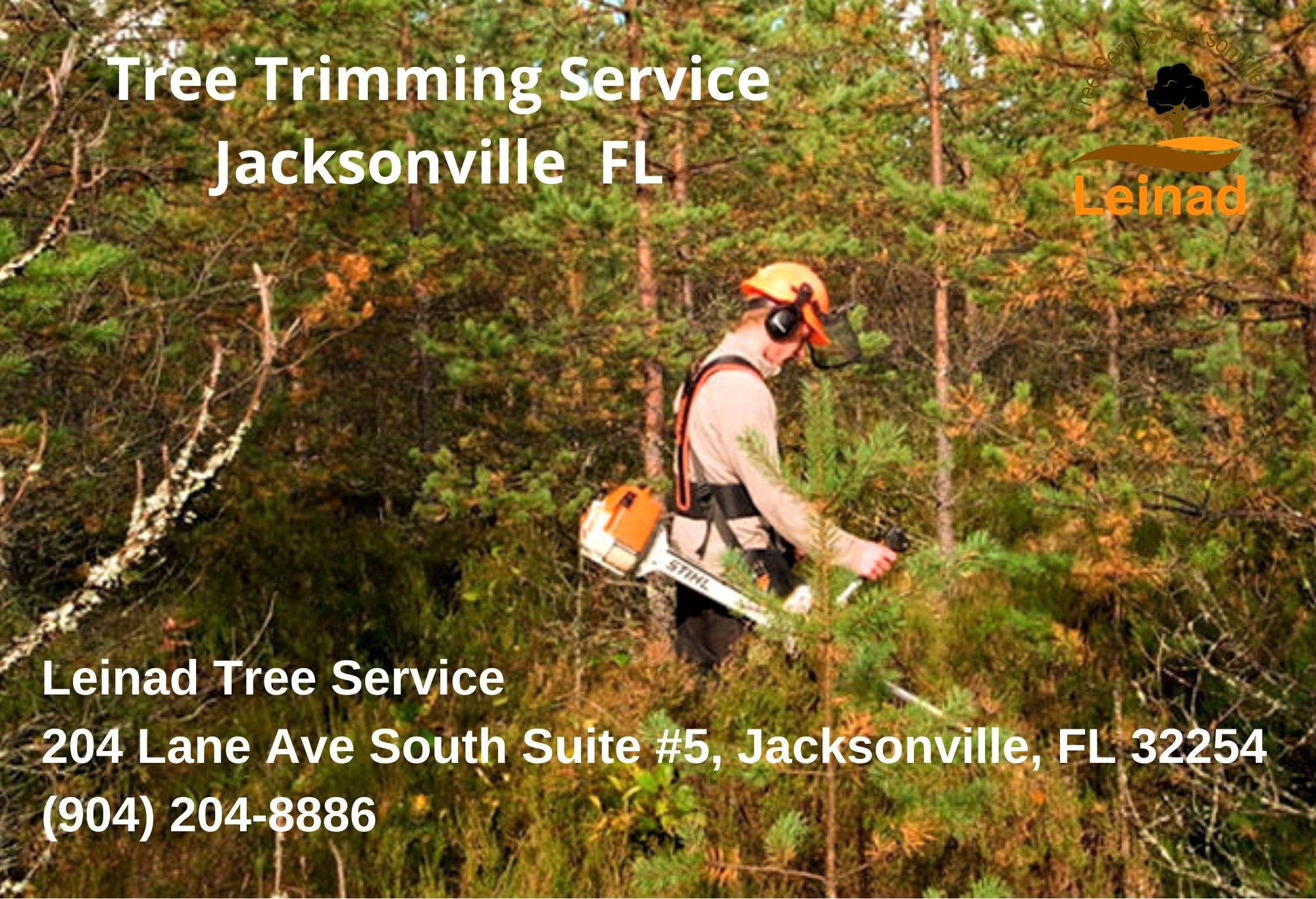 Leinad Tree Service Image